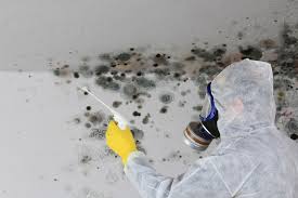 Santa Teresa, NM Mold Removal Services Company